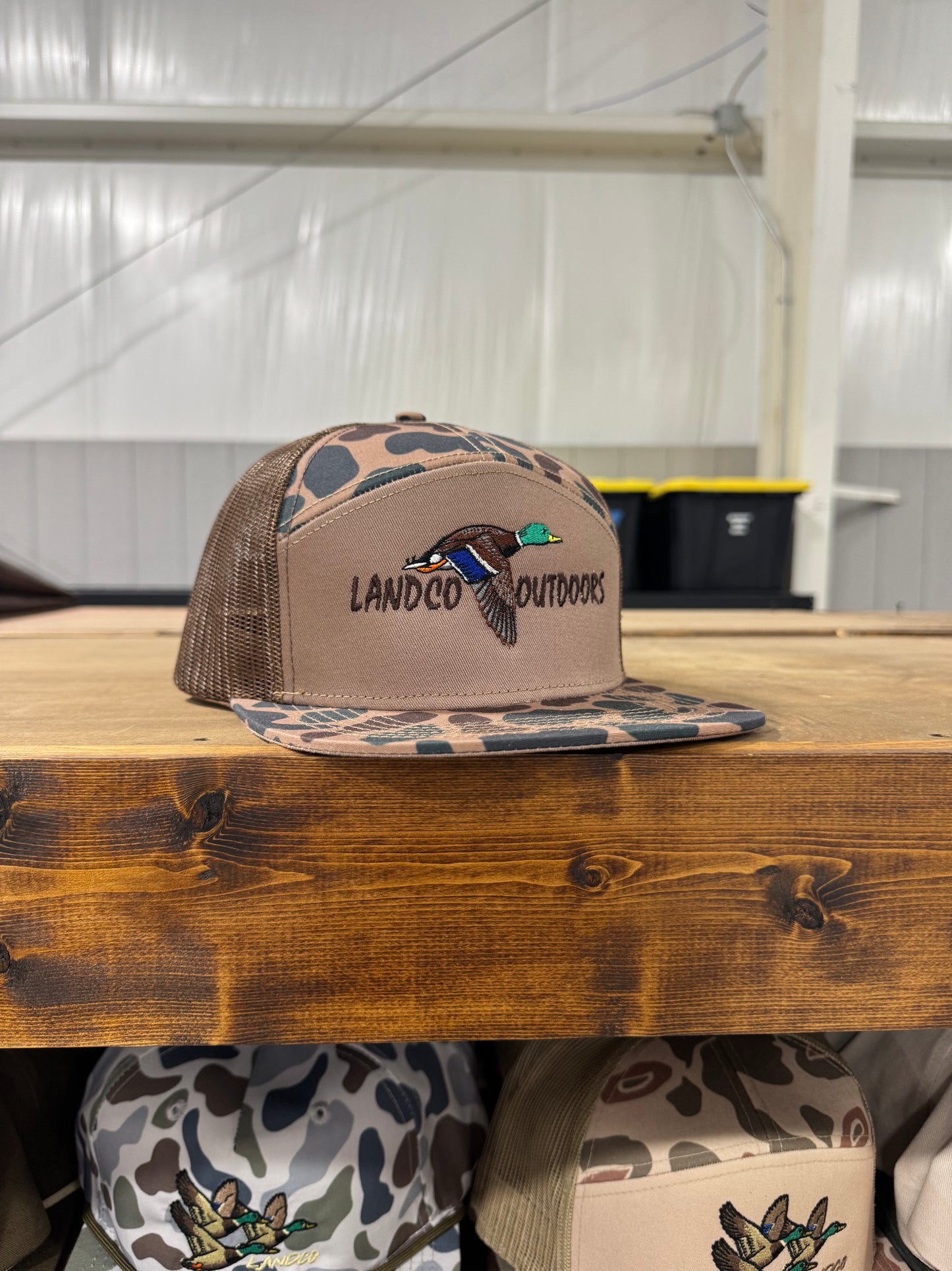 Delta 7 Panel Flying Mallard