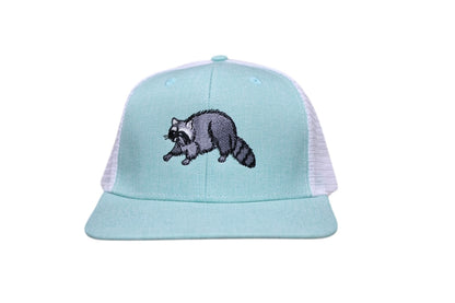 Sea Raccoon