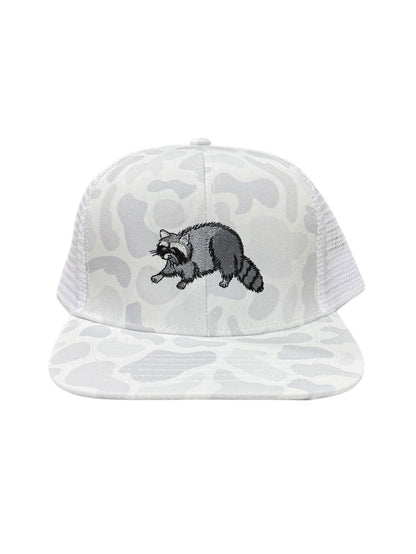 Slate Raccoon
