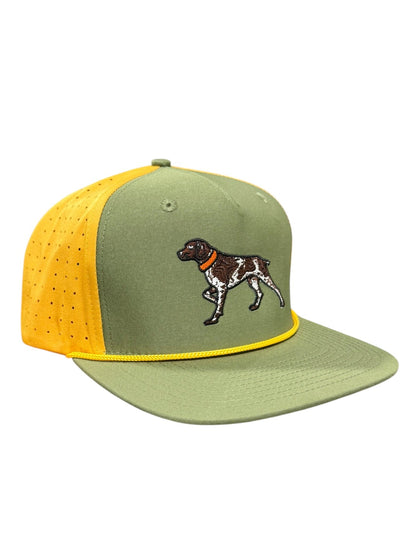 Loden/ Gold GSP
